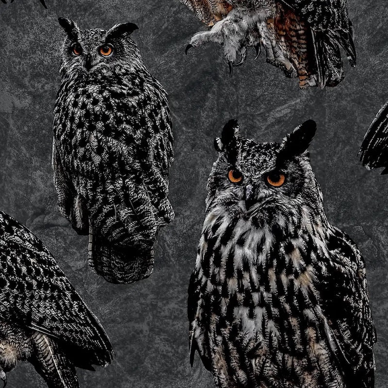 Paapii - Organic Cotton Brushed Fleece - Eagle-Owls - Shadow