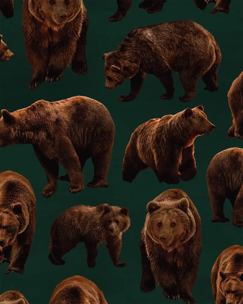 SALE - Paapii - Organic Cotton Brushed Fleece - Bears - Juniper