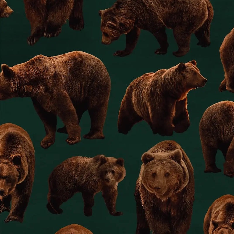 Paapii - Organic Cotton Brushed Fleece - Bears - Juniper