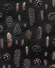 SALE - Paapii - Organic Cotton French Terry - Cones - Charcoal