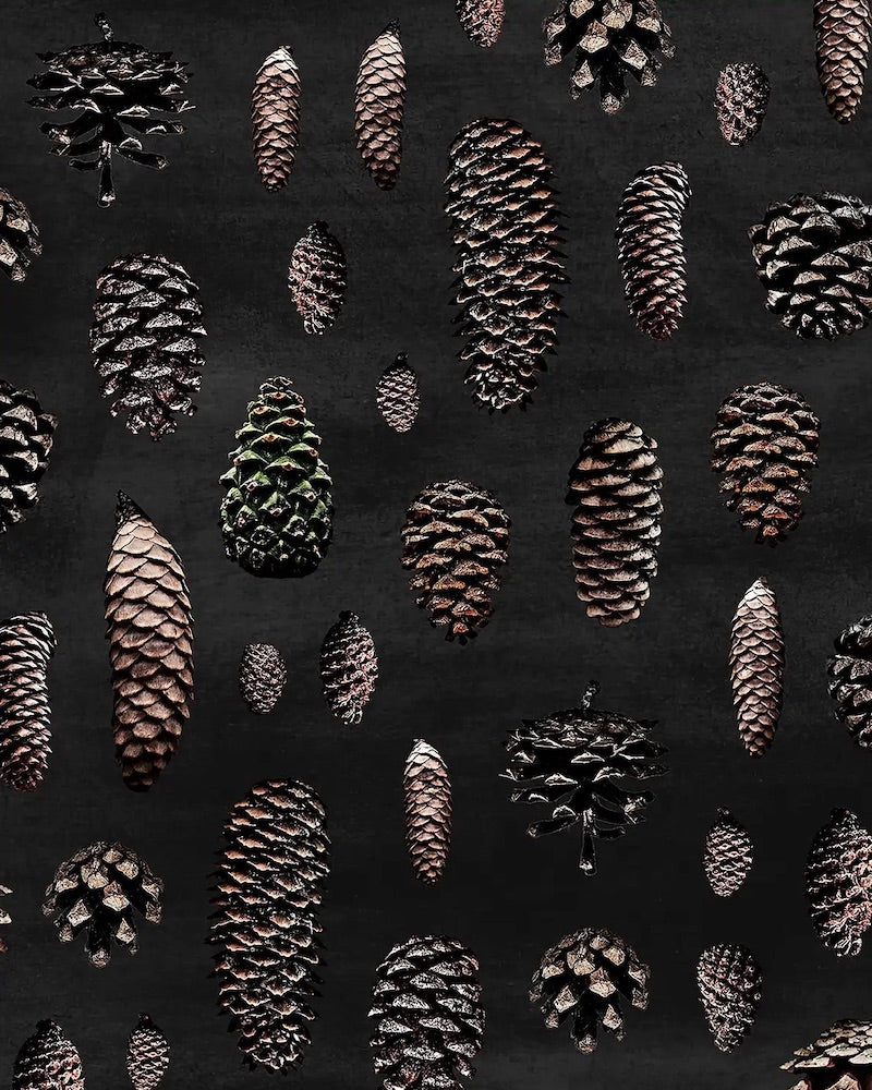 Paapii - Organic Cotton Sweatshirt Knit - Cones - Charcoal