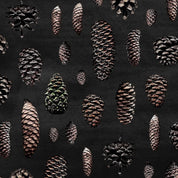 SALE - Paapii - Organic Cotton French Terry - Cones - Charcoal
