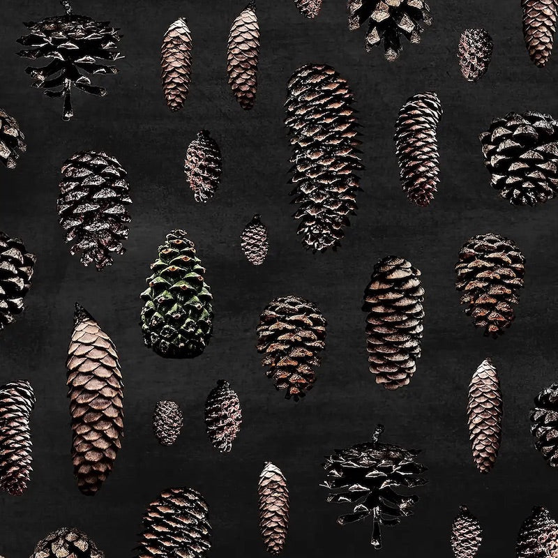 Paapii - Organic Cotton Sweatshirt Knit - Cones - Charcoal