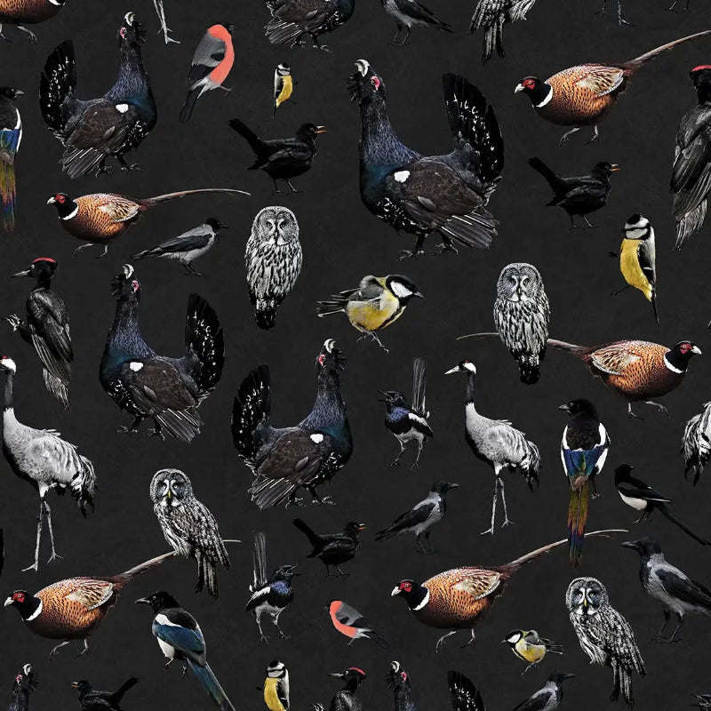Pattern of various birds on a dark fabric