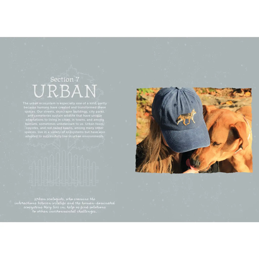 The Field Guide To Embroidery - Jessica Kemper