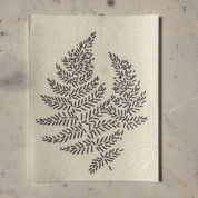 Approved Textiles - Mending & Embellishment Transfer - Frond