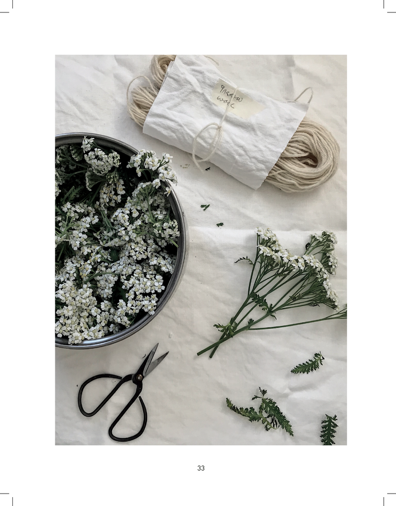 Seasonal Plant Dyes - Alicia Hall