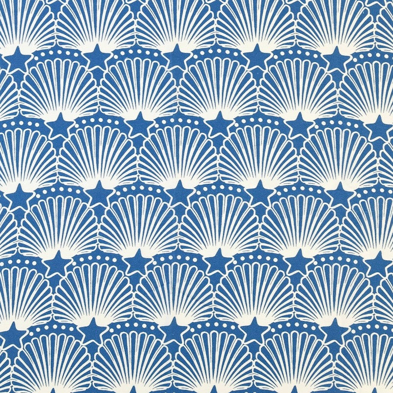 scallopstar.jpg