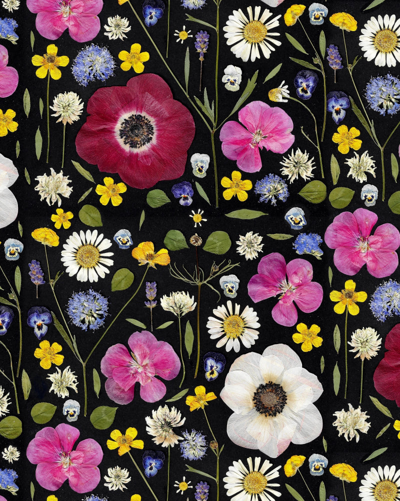 Paapii - Organic Cotton Jersey - Whisper of Summer - Black