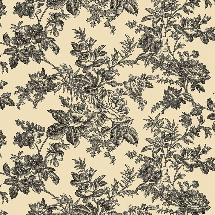 toile.jpg
