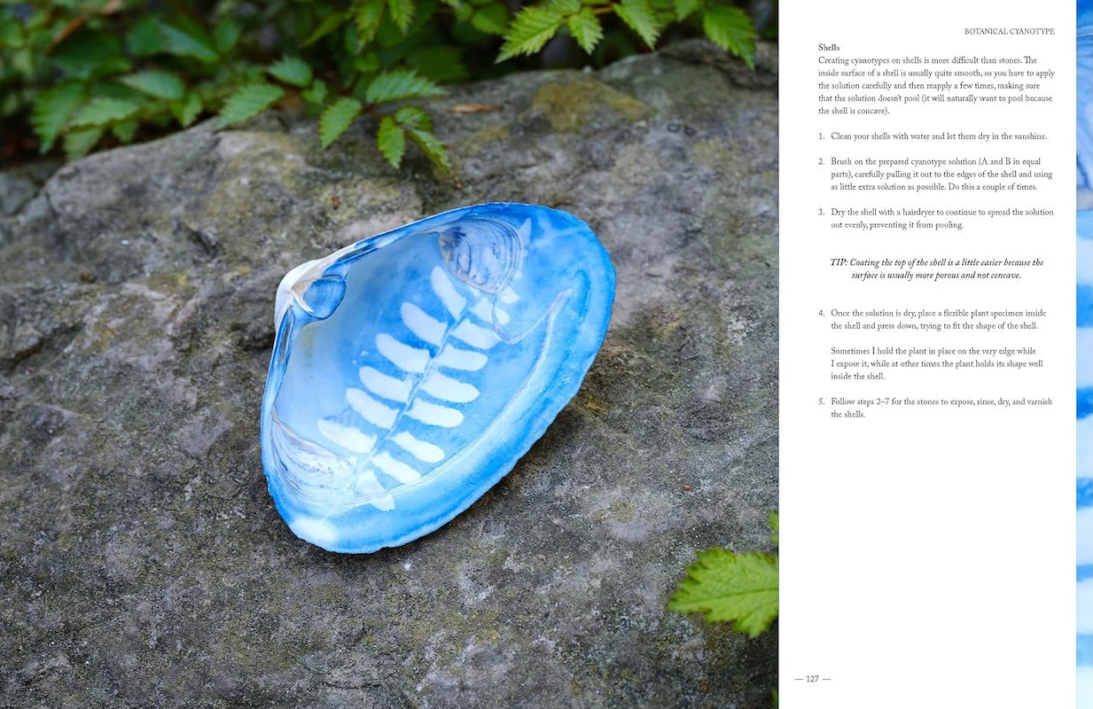 Botanical Cyanotype: A Guide to the Art of Sun Printing - Sarah Bourne Rafferty