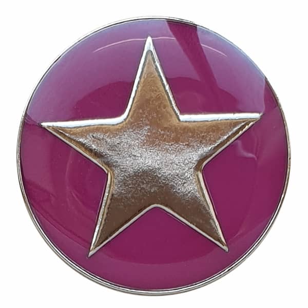 Dill - Metal Pink Background With Silver Star Button - 20mm