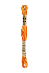 DMC - Variegated Embroidery Floss - Various