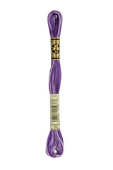 DMC - Variegated Embroidery Floss - Various