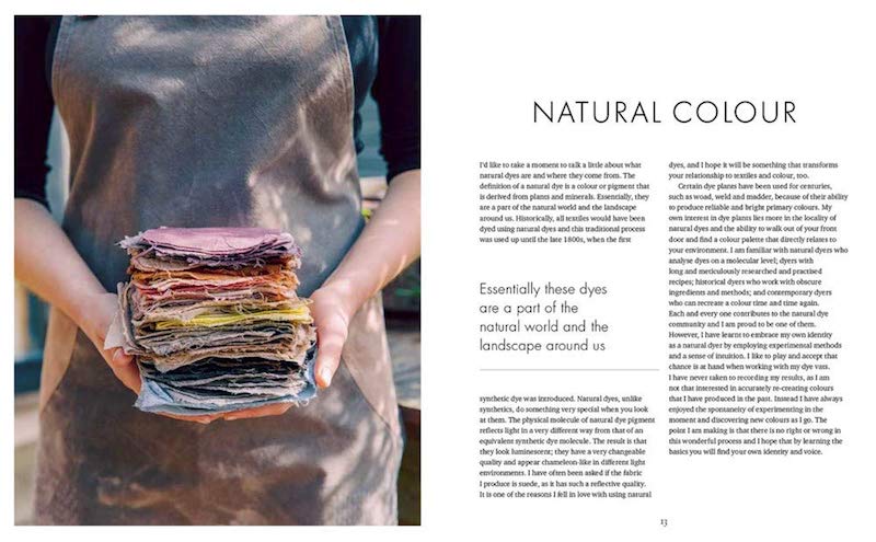 The Wild Dyer: A Maker's Guide to Natural Dyes with Projects to Create and Stitch - Abigail Booth