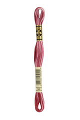 DMC - Variegated Embroidery Floss - Various