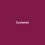 Gütermann Thread - Sew-All Polyester - 274 yards - Yellow, Red, Pink, Orange and Purple