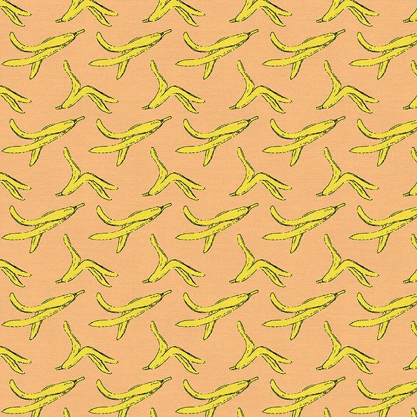 Paintbrush Studio - Raccoon Ruckus - Banana Peel - Orange/Yellow